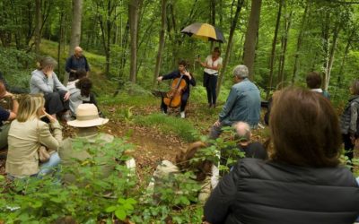 Le Festival des forêts 2020 a quand-même eu lieu !