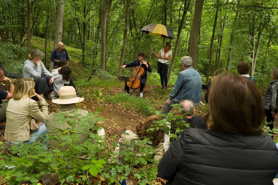 The Festival des forêts nevertheless took place !